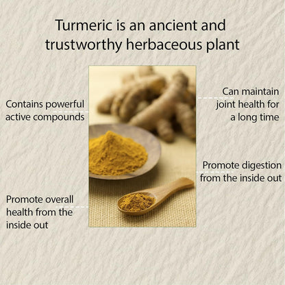 Turmeric Curcumin Vegetarian Capsules